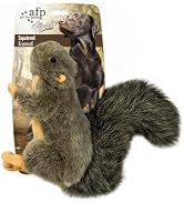 ALL FOR PAWS Classic Squirrel Pet Toys, Small