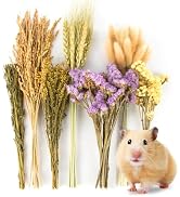 Sukh 60Pcs Nature Flower Herb Hamster Bedding - Cage Enclosure Habitat Decor Mate Small Animal Na...