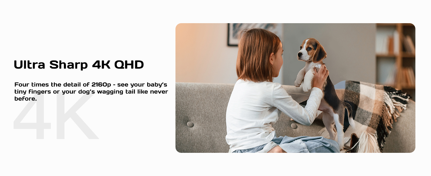 security camera indoor;pet camera indoor with phone app;surveillance&security cameras;home camera