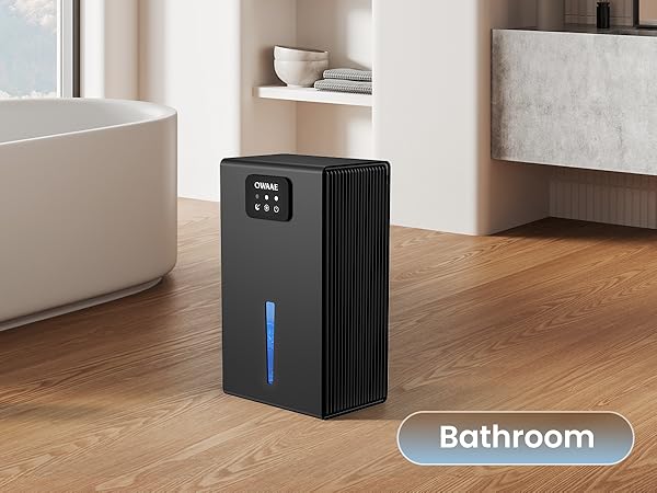 dehumidifier for bathroom