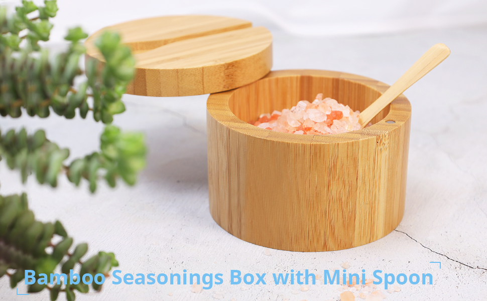 Bamboo Seasonings box with mini spoon