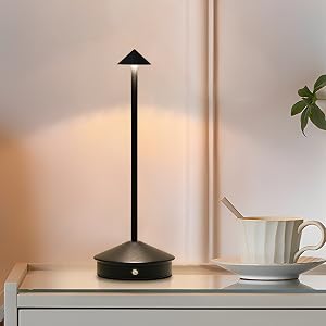 cordless lamp