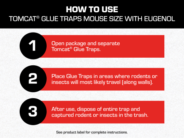 How to Use the Glue Trap Mouse Size with Eugenol.
