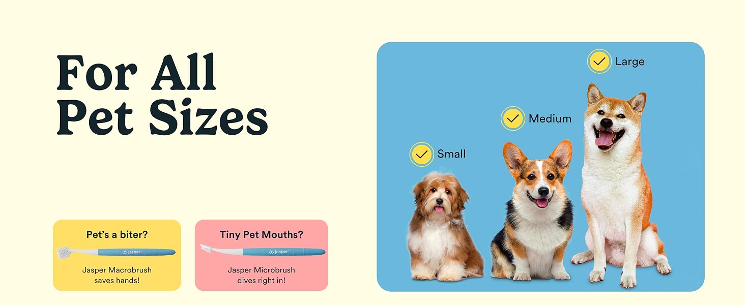 for all pet sizes