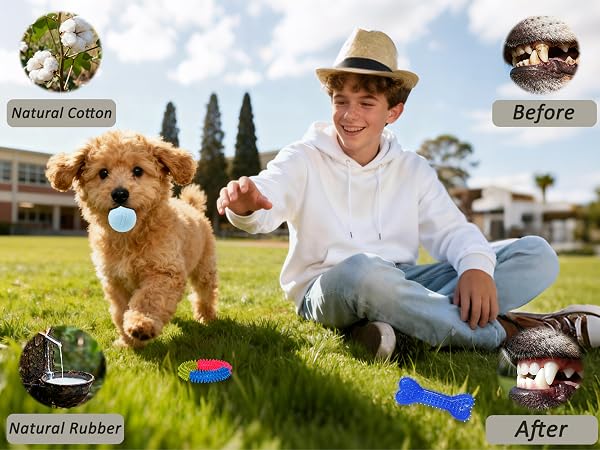 puppy teething toys 20 pack