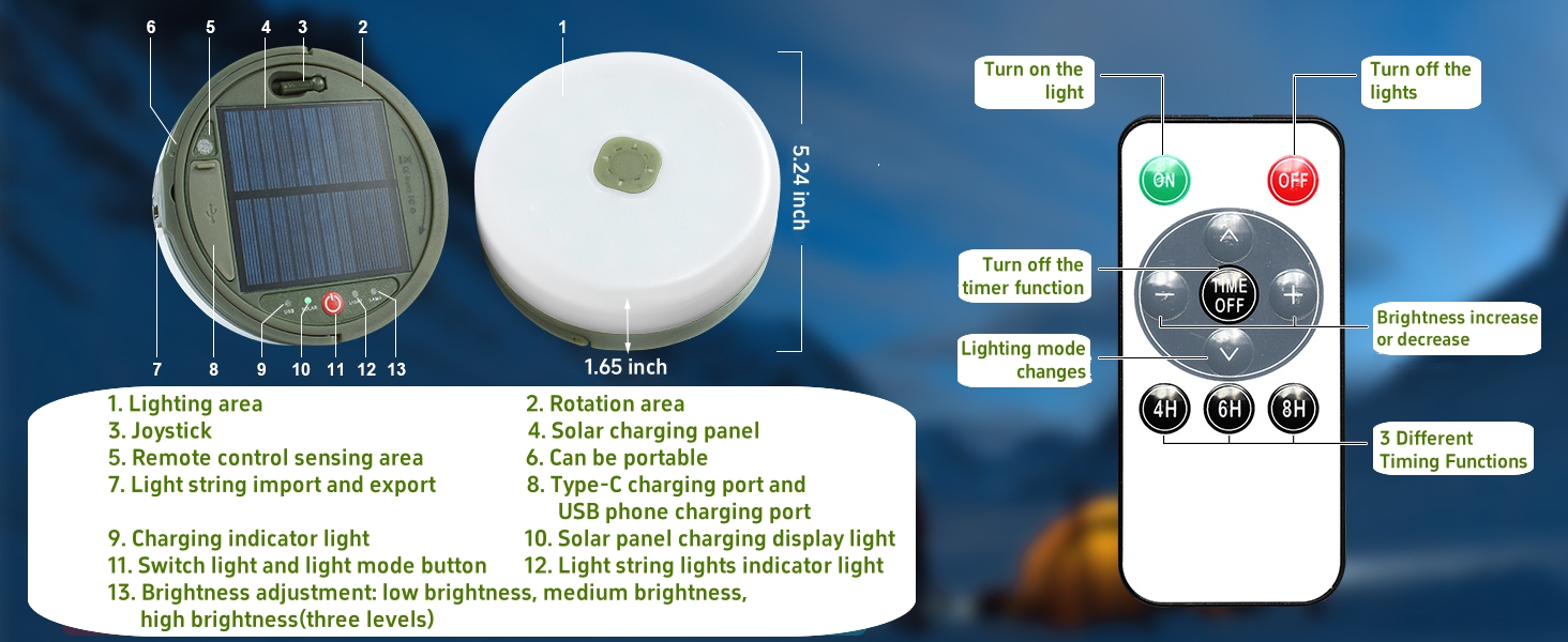 calm cove string lights