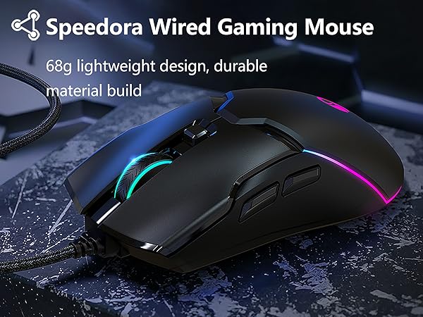mouse