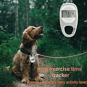 pedometer walking
