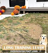 long training dog leash