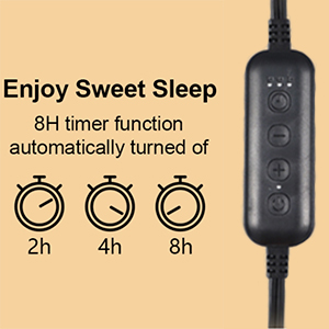 Timer Dimmer