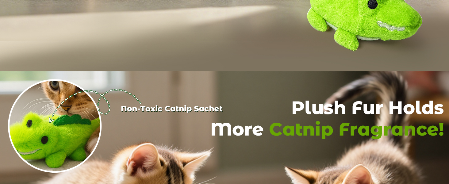 self play cat toys