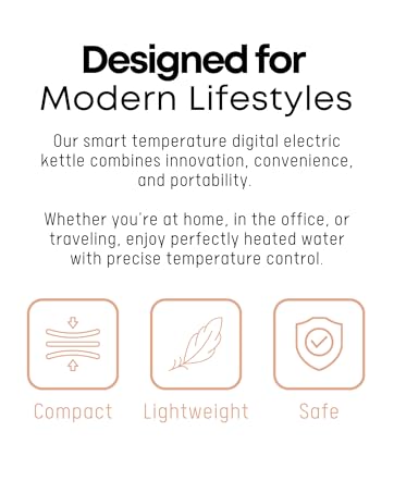 Portable Electric Kettle