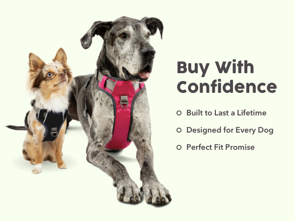 Adventure Harness
