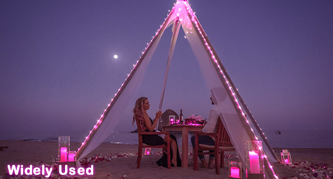 valentine fairy lights