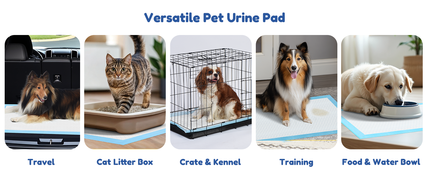 Dog and Puppy Pet Training Pad
