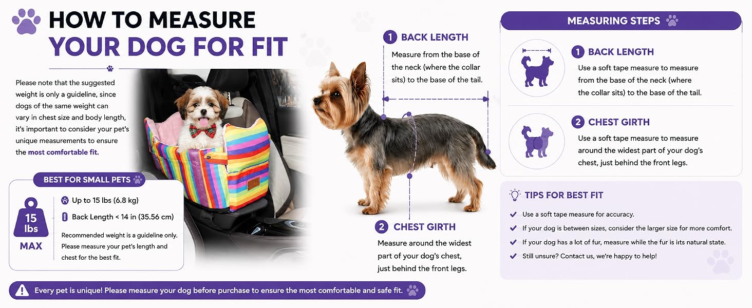 puppy carseat for small dogs