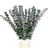 HIAGROW Real Eucalyptus Stems, 20PCS Shower Eucalyptus Hanging, 17inch Dried Eucalyptus Sprigs Gr...