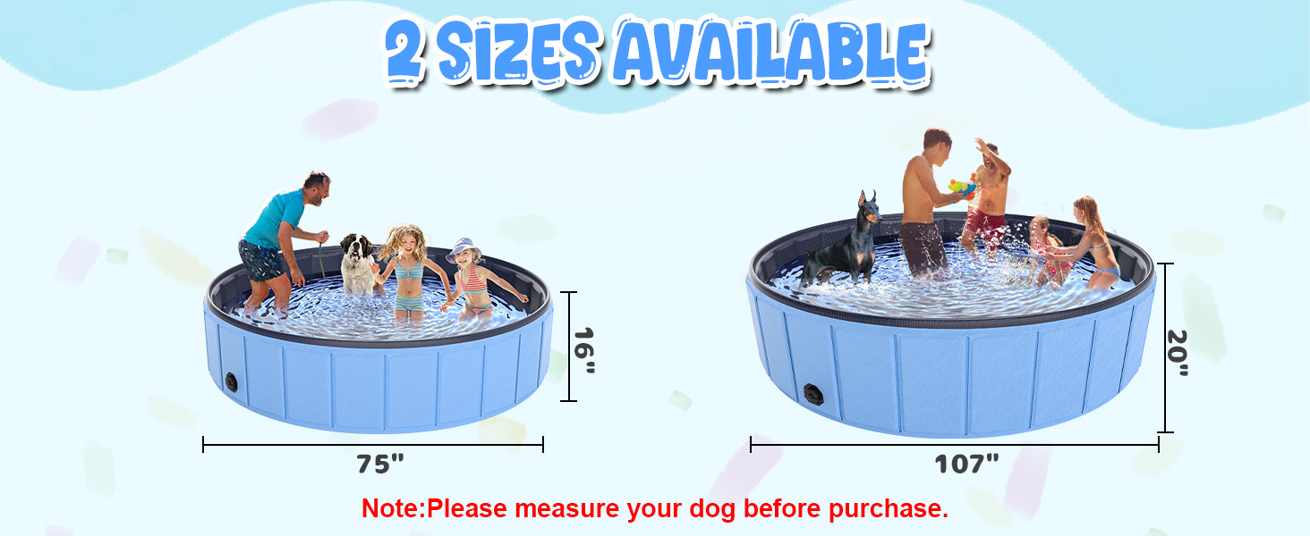 dog pool