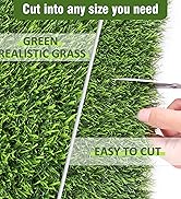 GRASS