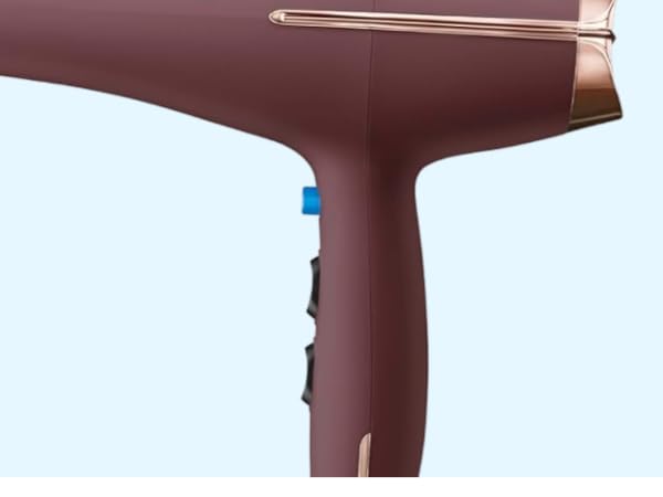 Professional AC Motor Hair Dryer