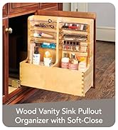 Shop Vanity Sink Pullout Organizer
