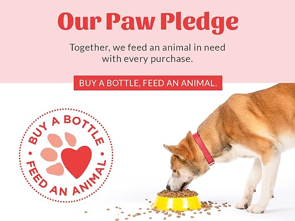 Paw Pledge