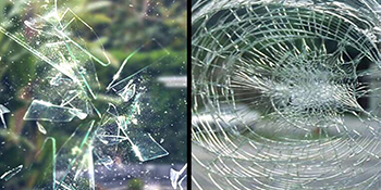 clear window film