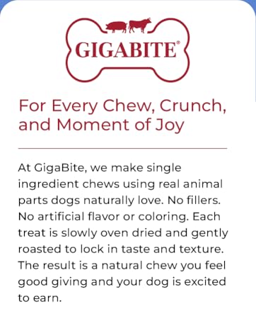 GIGABITE