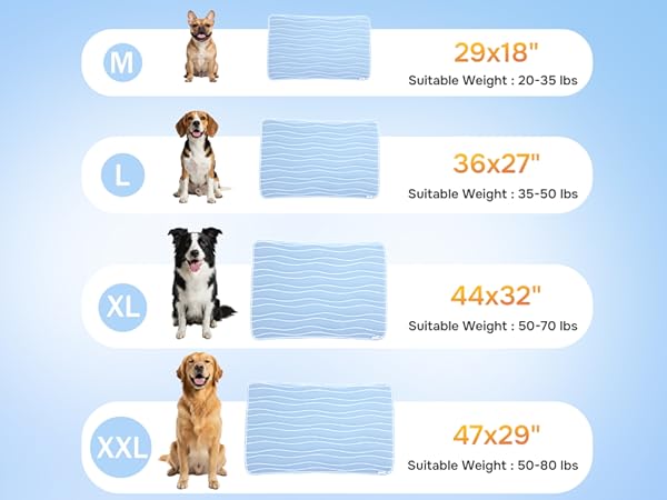 Cool Bed for Dogs