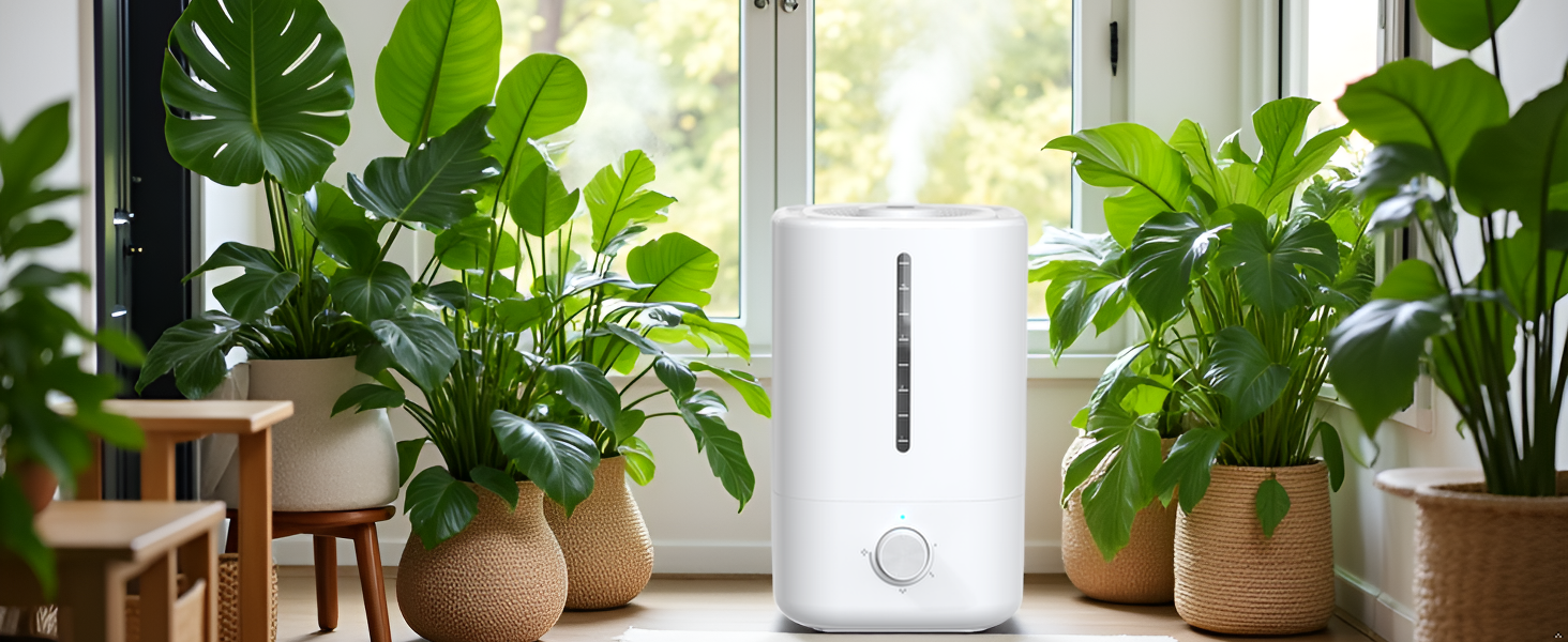 plant humidifier