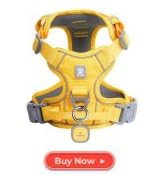 Pawaii Dog Harness (Medium, Pineapple Yellow), Soft Padded, No-Choke, Reflective, Digital ID Tag,...
