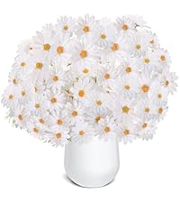 https://m.media-amazon.com/images/S/aplus-media-library-service-media/4b78779a-4510-47de-ad1f-7e94dba50e67.__AC_SR200,225___.jpg