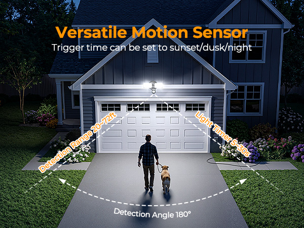 battery powered flood light