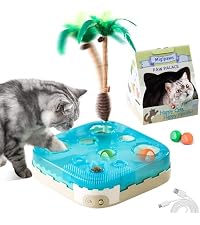 https://m.media-amazon.com/images/I/41N21UrExdL.__AC_SR200,225___.jpg