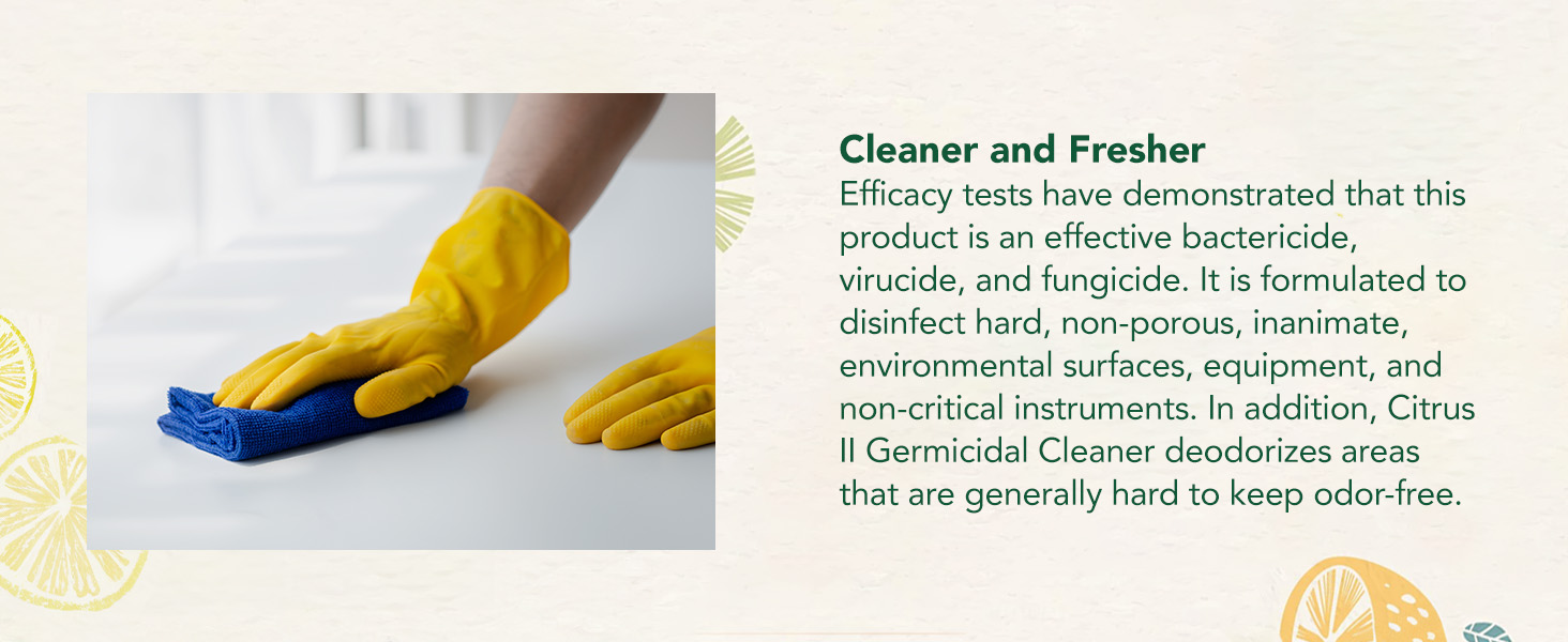 Beaumont - Citrus II - Hospital Germicidal Deodorizing Cleaner