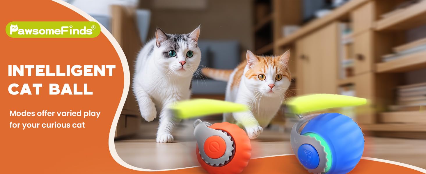 cat toy