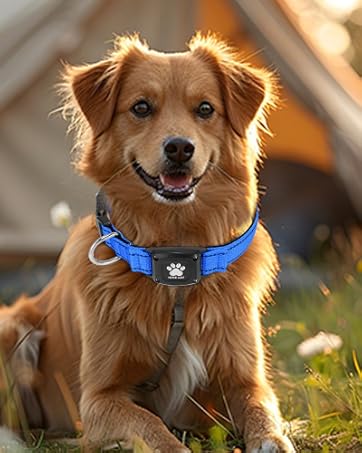 MYIWB, blue dog collar, comfortable collar, camping pet gear, everyday use, adjustable collar