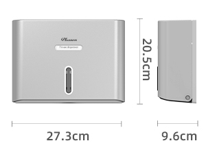 Paper Towel Dispenser