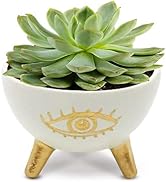jewelry bowl trinket dish aesthetic white monogram dishes ceramic plain key holder dresser eye stone