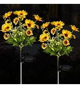Aolyty Solar Garden Lights Outdoor, Solar Flower Lights with 24 Sunflowers 2 Modes, IP65 Waterpro...