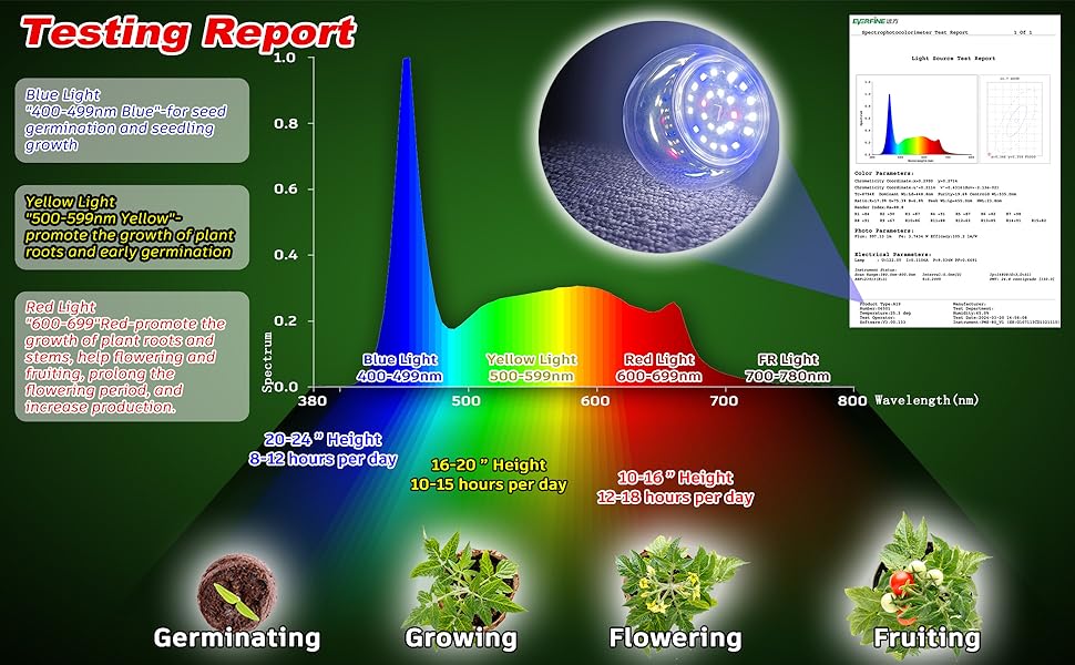 E12 Seeds Greens Laboratory,School,Greenhouse, Hydroponic