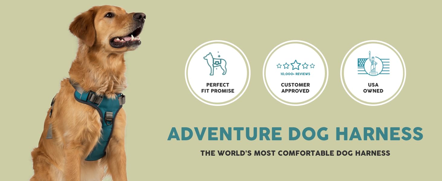 Adventure Harness