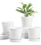 BUYMAX Plant Pots Indoor –5 inch Ceramic Flower Pot with Drainage Hole and Ceramic Tray - Gardeni...