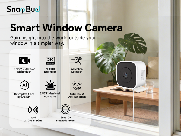 window camera