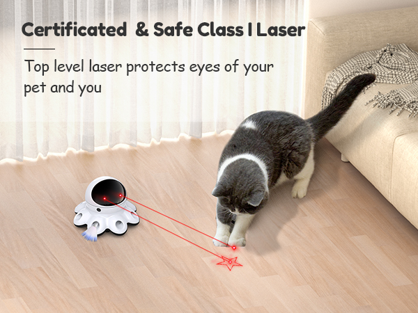 cat laser toy