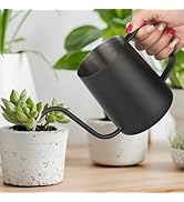 Small Watering Can Indoor Plants - 20 oz Mini Stainless Steel Watering Can with Long Spout Rust-P...