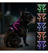 Joytale Light Up Dog Harness, No Pull Dog Harness USB Rechargeable for Night Walking with 3 Light...