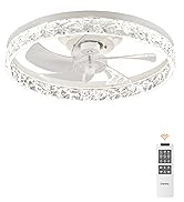 ceiling fan with light