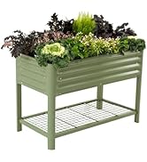 Elevated Raised Garden Bed-V Series, 2' x 4' Garden Beds with Legs & Storage Rack for Patio Porch...