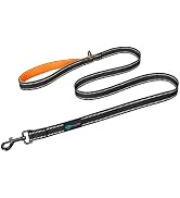 PHOEPET 5 Feet Heavy Duty Dog Leash - Reflective - Soft Padded Handle Traffic Grip for Extra Cont...